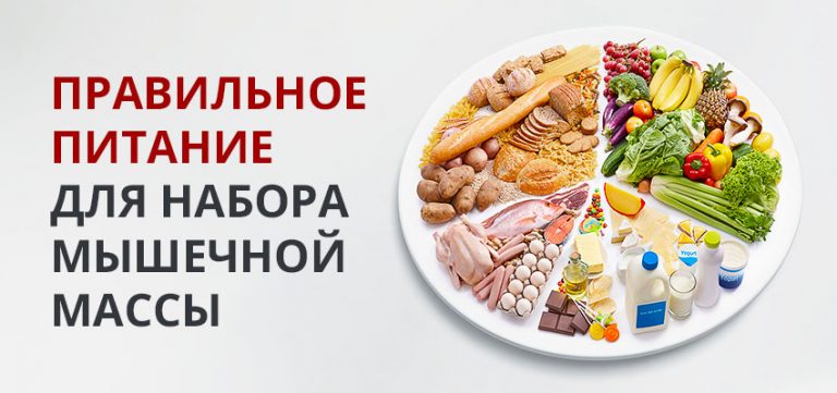 Питание для мышц – Правильное питание для мышц